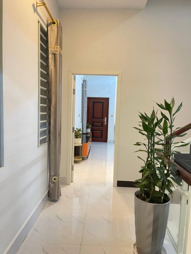វីឡាកូនកាត់65000$