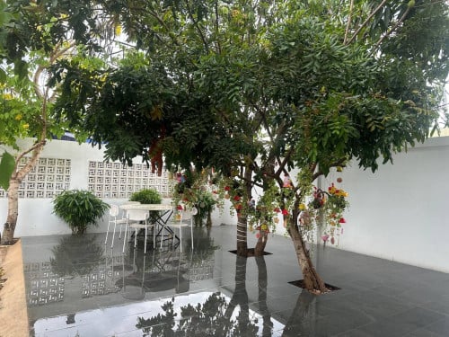 ផ្ទះជួលសម្រាប់ស្នាក់នៅ,900$/ខែ
