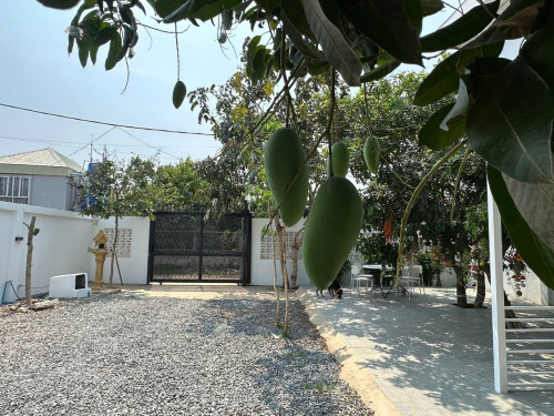 ផ្ទះជួលសម្រាប់ស្នាក់នៅ,900$/ខែ