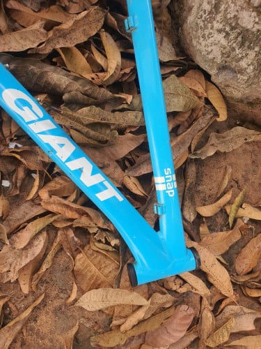តួរកង់Giant snap