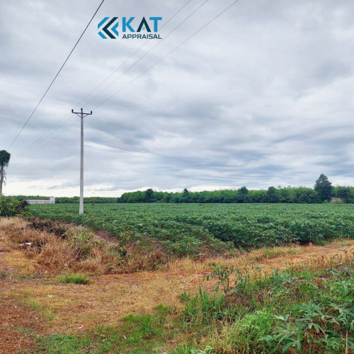 ដីសម្រាប់លក់​ l Land For Sale