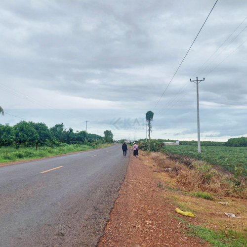 ដីសម្រាប់លក់​ l Land For Sale