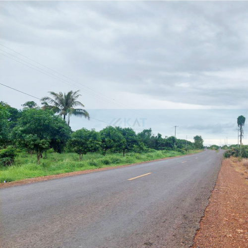 ដីសម្រាប់លក់​ l Land For Sale