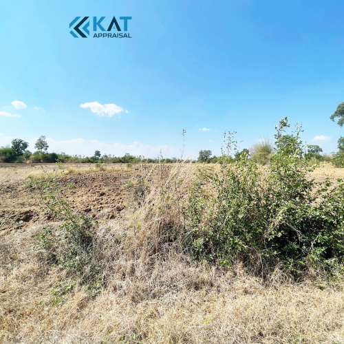 ដីសម្រាប់លក់ | Land For Sale