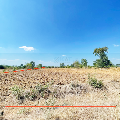 ដីសម្រាប់លក់ | Land For Sale