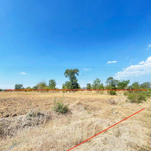 ដីសម្រាប់លក់ | Land For Sale