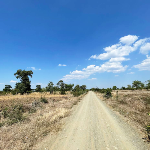 ដីសម្រាប់លក់ | Land For Sale