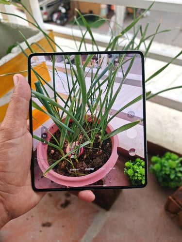 Fold4 12g/256g(Sim1&eSim)វៃដូរបាន👉$415