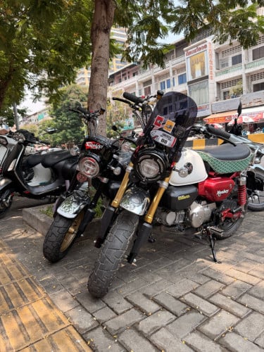 Honda monkey 125cc ស្លាកលេខ