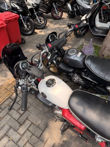 Honda monkey 125cc ស្លាកលេខ
