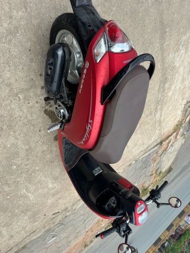 Honda Scoopy 2020