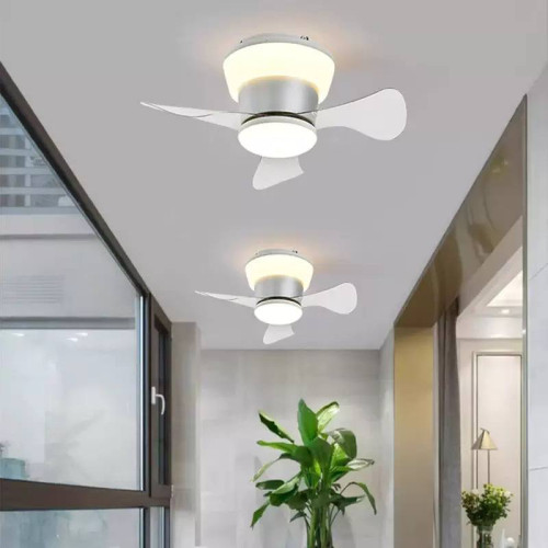Invisible fan light