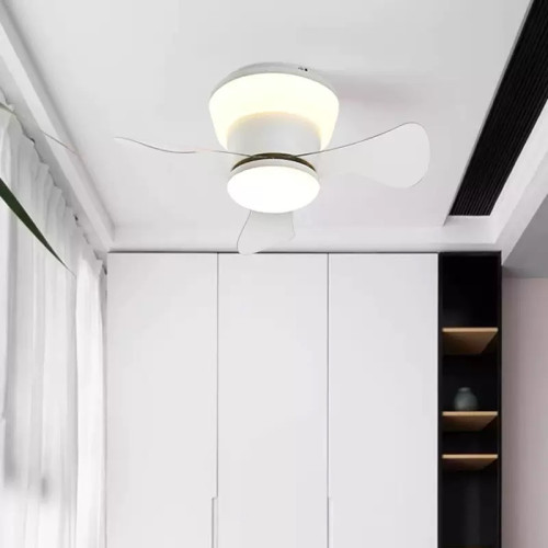 Invisible fan light