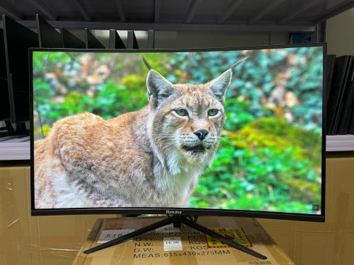 Monitor 27"​ FHD​ Curved (អេក្រង់​កោង) មួយទឹកស្អាតៗ