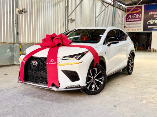 Nx300 2018​ គុជ4  F-Sport Full ( Tax Paper)