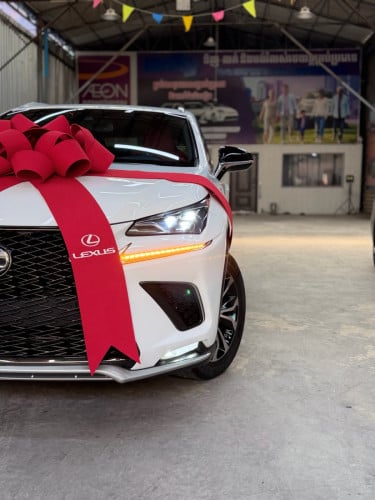 Nx300 2018​ គុជ4  F-Sport Full ( Tax Paper)