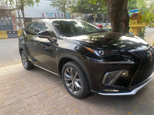 NX300 F-Sport ឆ្នាំ2019 ក្រដាសពន្ធ