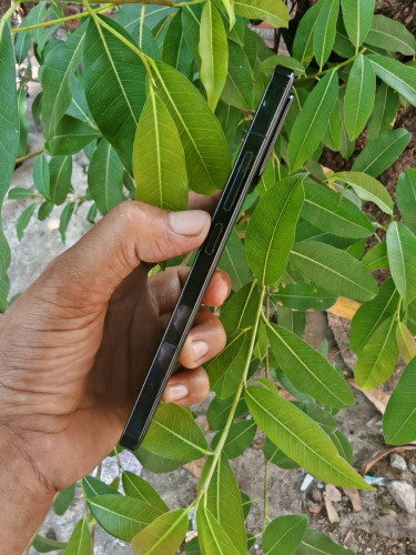 Xiaomi 13 12g/256g_Global(វៃដូរបាន)👉$225