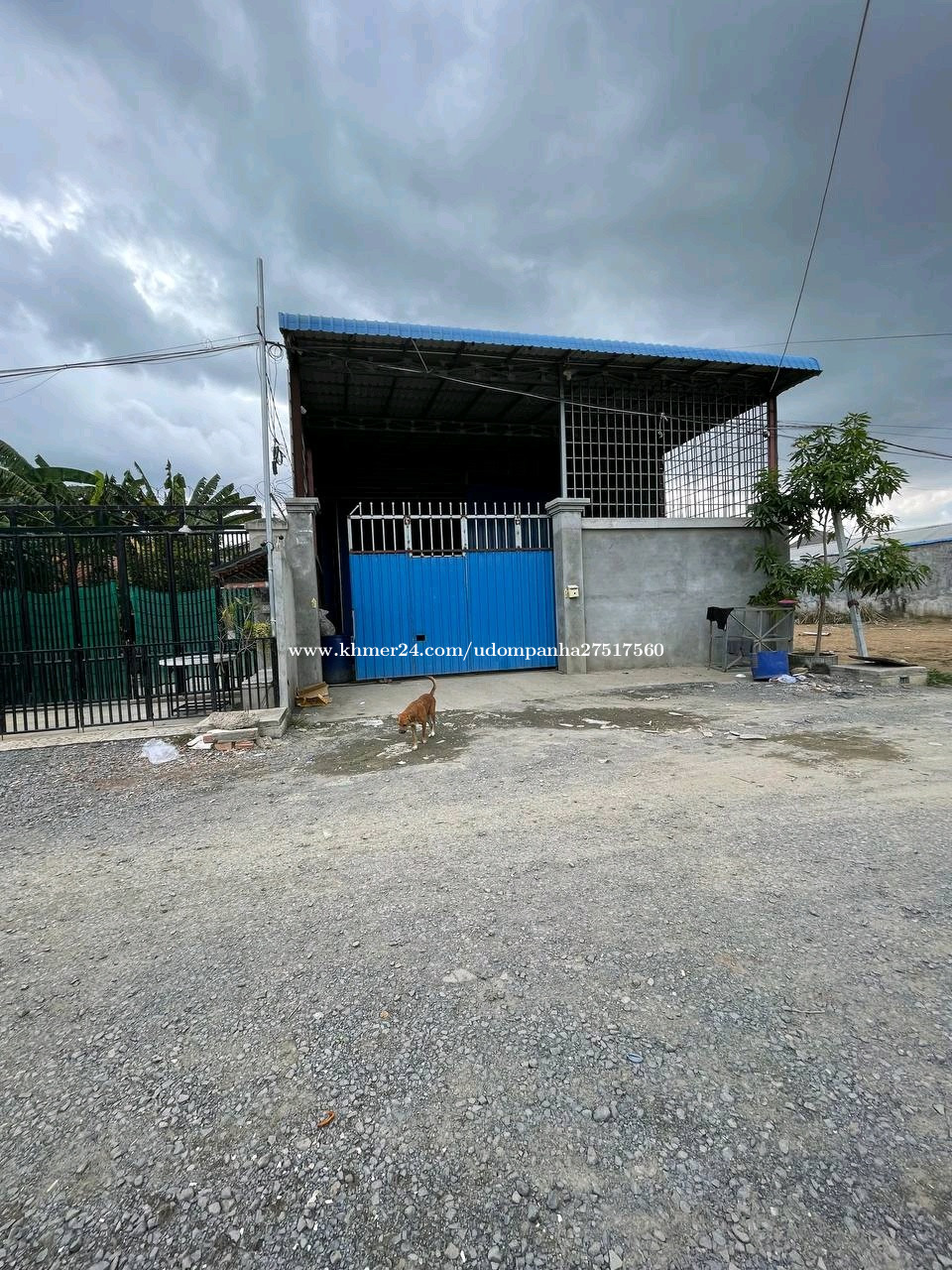 ដីលក់បន្ទាន់ តម្លៃល្អ