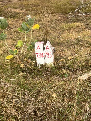 ដីលក់