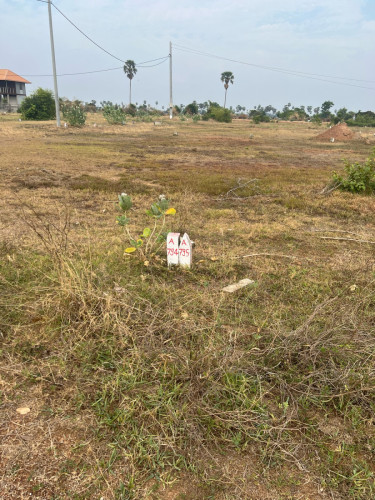 ដីលក់