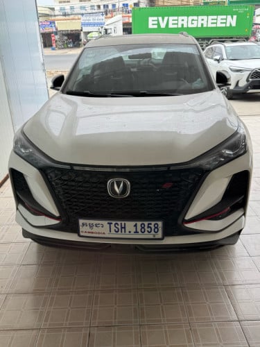 卖中国汽车