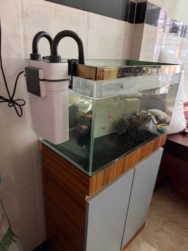 ទូត្រី