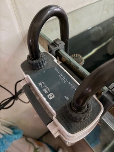 ទូត្រី
