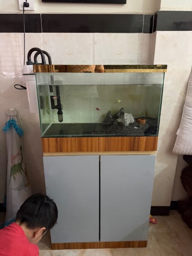 ទូត្រី