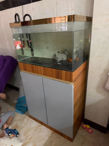 ទូត្រី