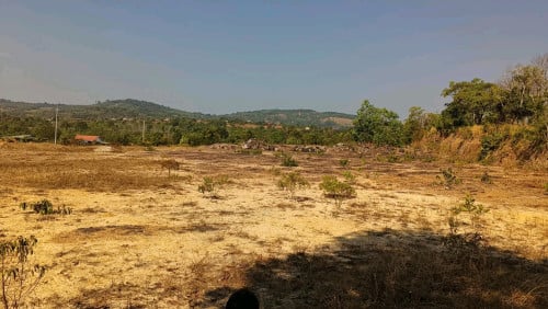 ដីលក់បន្ទាន់