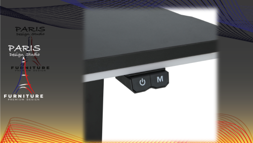 " Paris Design Studio " ANACOT Gaming Desk 