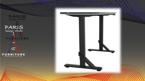 " Paris Design Studio " ANACOT Gaming Desk 