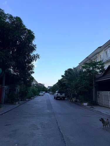 House Urgent Sale with Special Price
