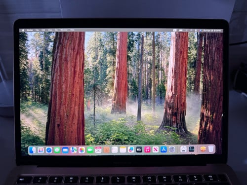 MacBook Air (M1)