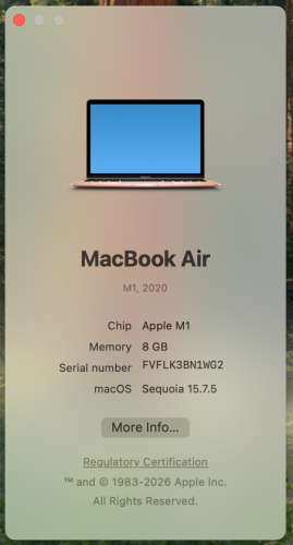 MacBook Air (M1)