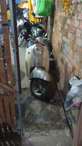 Scoopy