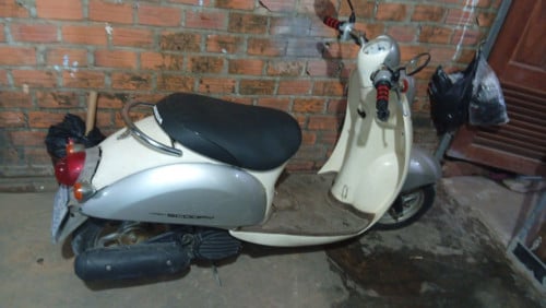 Scoopy