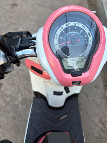 Scoopy club12