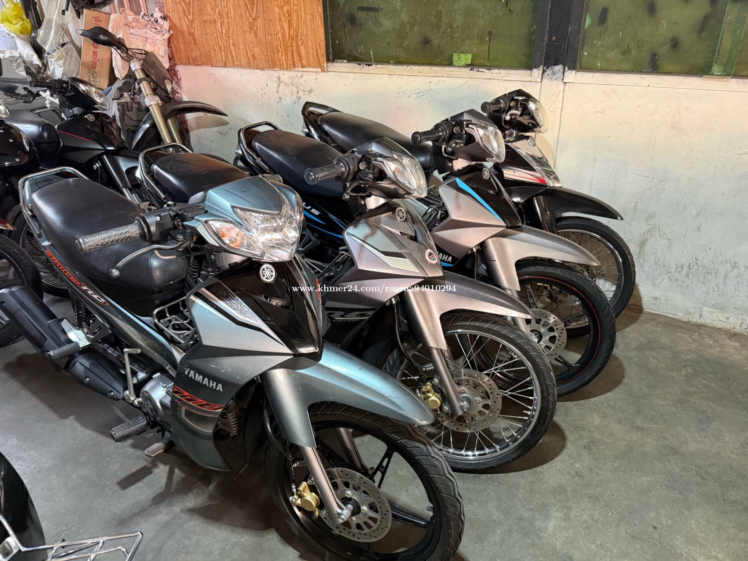 ស៊ីរស់ថ្មីៗយកមកពីវៀតណាម