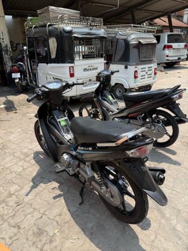 ស៊ីរស់ថ្មីៗយកមកពីវៀតណាម