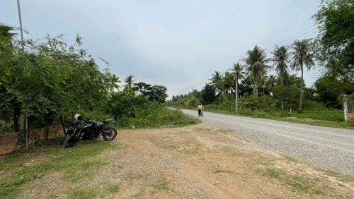 ផ្ទះលក់ជាប់ផ្លូវធំងាយស្រួលរស់នៅប្រកបអាជីវកម្មផ្សេងៗ