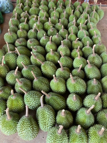 រុរេន មូសាងឃីង
