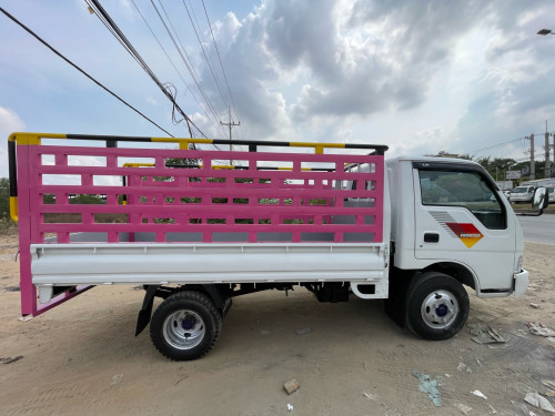 ប្រុនធា1តោនកន្លះឆ្មាំ01ប៉ងធំ