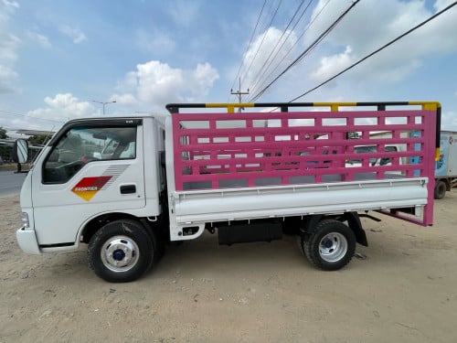 ប្រុនធា1តោនកន្លះឆ្មាំ01ប៉ងធំ