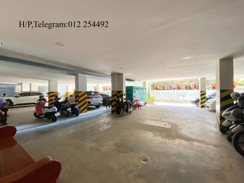 Brand New Elevator Apartment for Rent