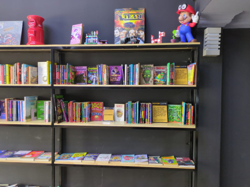 Children Kids and young-adult second hand reading books and novels - Frozen Doctor Who