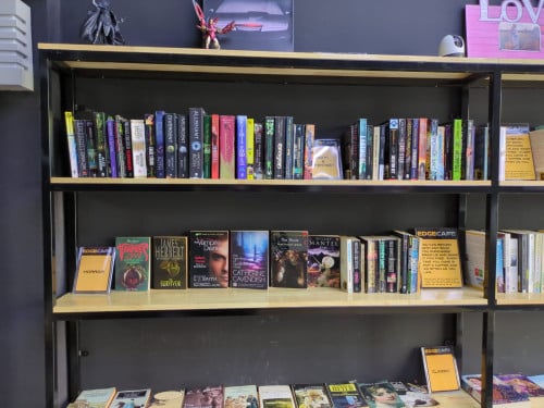 Fantasy and Sci-fi Science Fiction books and novels English language free exchange