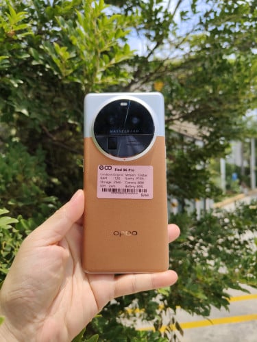 Find X6pro Global