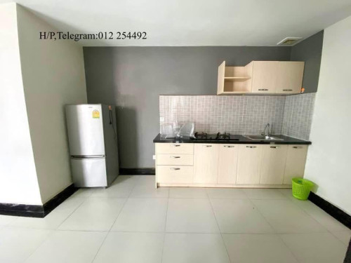 Fully Furnished Elevator Apartment for Rent